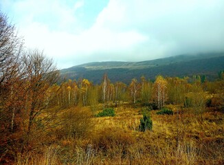 Połonina Bieszczady