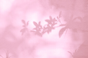 Fototapeta na wymiar Abstract leaves and light shadow blurred background. Natural leaves tree branch pink shadows and sunlight dappled on white wall texture in garden for background wallpaper design