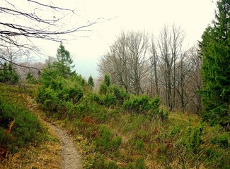 Połonina Bieszczady