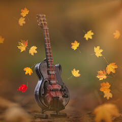 Gitarre im Herbst