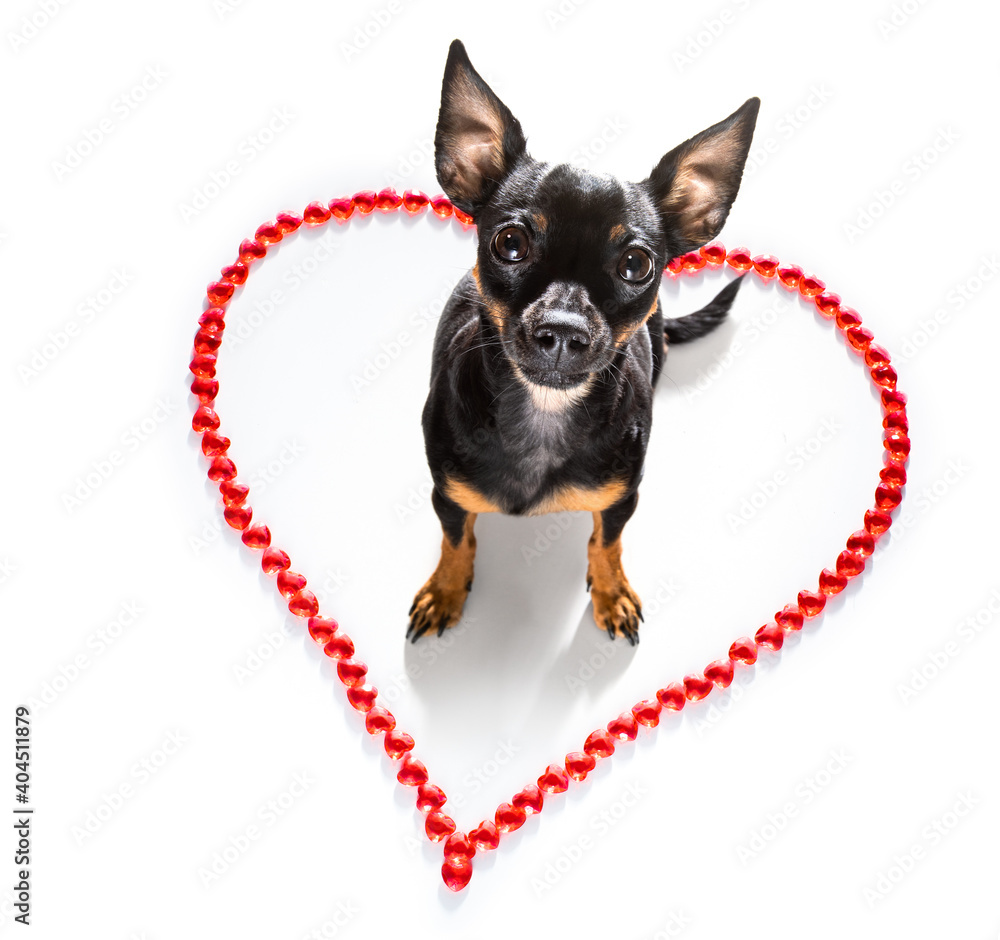 Sticker dog valentines love heart