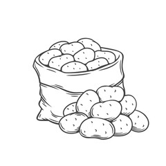 Potato tubers outline hand drawn monochrome