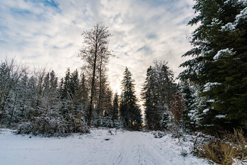 Hike through the snowy ravine near Schmalegg