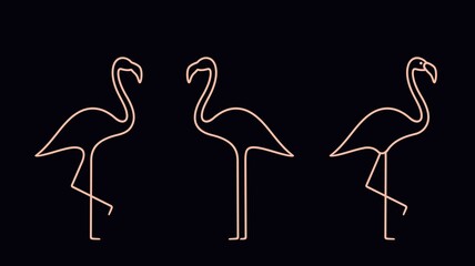 Flamingo outline. Isolated flamingo on white background © oleg7799