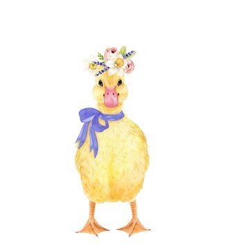 cute chick yellow duckling with spring bouquet of flowers, illustration watercolor hand painted