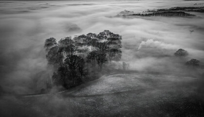 Aerial view of fog moving through trees