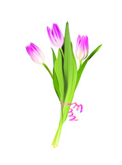 Vector pink tulip flowers bouquet with pink ribbon isolated on white background
