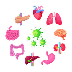 Covid-19 and Human organs vector illustration. Human organs that affected by coronavirus infographic.