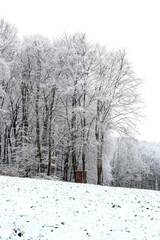 Schnee im Wald in Deutschland mit einem Hochsitz zum Jagen