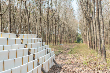 The process of producing rubber sheets, before the rubber sheets for sale to the rubber factory.