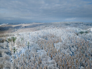 Aerial view of a snow covered forest