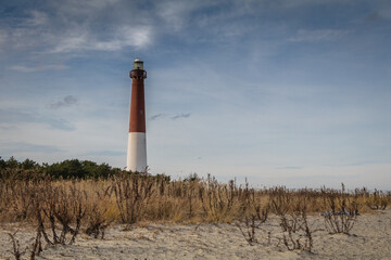 Barnegat Lighthouse, NJ, surrounded by sandy beach and golden wild grasses on a brisk winter day under blue cloudy sky