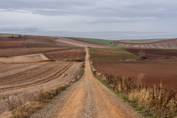 meravigliosa vista del sentiero del cammino francese in spagna in inverno