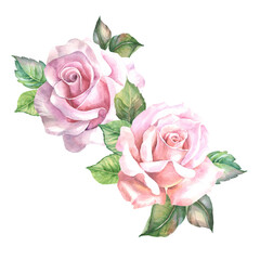 Fototapeta premium bouquet of pink roses
