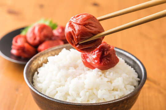 梅干し　Pickled plums  Umeboshi
