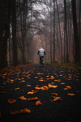 a woman biker riding a road in the forrest covered with leaves during autumn 
