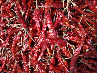 Dried red chili selective focused