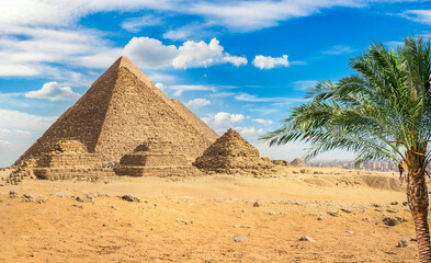 Fototapeta na wymiar Pyramids and palm tree