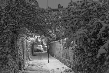 Snow scene. Snowing. snowflakes. White cityscape. Filomena storm. By night. Snowstorm. Trees and metallic fence. Alley by night.