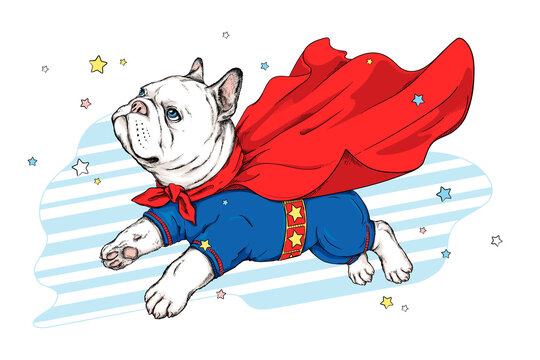 Cute cartoon french bulldog in superhero clothes. Stylish image for printing on any surface