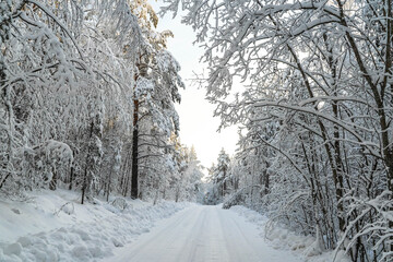 
Road in the forest in the winter. Everything is covered with snow.