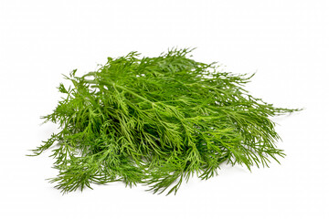Fresh green dill on a white background