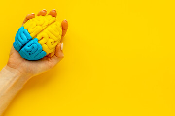 Idea concept. Use your brain. Model of clay in the hand, top view