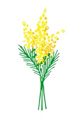 Fototapeta na wymiar Hand-drawn simple color vector illustration. Spring flowers, mimosa bouquet isolated on white background. For postcard prints, March 8, Mother's Day, Easter.