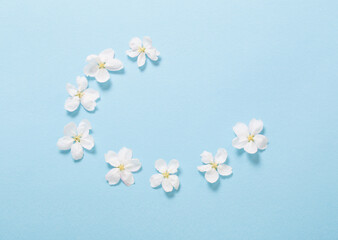 apple flowers on blue paper background