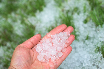 A human hand full of hailstones