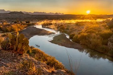 Ein Kaktusfeigenkaktus und die Sonne, die über entfernte Berge aufgeht, und ein Fluss, der sich darunter schlängelt, Rio Grande River, Big Bend National Park, Texas © Ron