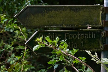 old public footpath sign in a hedge