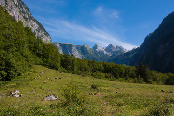 Fototapeta na wymiar Nice view of the mittersee, alpine green meadows, beautiful landscape for your desktop