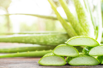 aloe vera is tropical green plants tolerate hot weather. Aloe Vera gel close up on wooden table. Sliced Aloe Vera natural organic renewal cosmetics, alternative medicine. Organic Skin care concept.