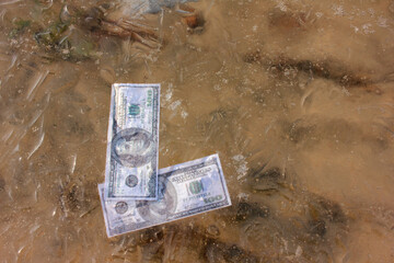 Paper money in the water. 100 dollars banknote on the beach. Top view