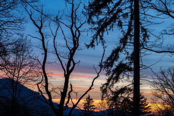 Silhouettes of trees in the mountains against the background of the sunset sky.