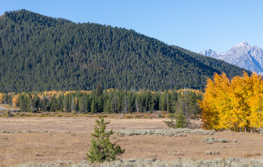 Scenic Grand Teton National Park Wyoming Autumn Landscape