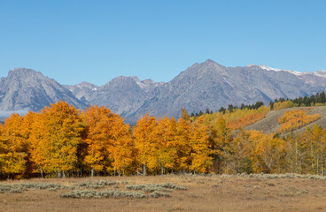 Fototapeta na wymiar Scenic Grand Teton National Park Wyoming Autumn Landscape