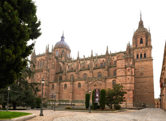 Fototapeta premium salamanca, nocturnal, gotic, lys, illumination, heritage, historic, temple, castilla, roman, historical, lis, unesco, europe, night, castilla-leon, travel, cathedral, stone, old, history, gothic, art,