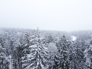 Fototapeta na wymiar Winter forest with snowy trees, aerial view