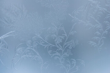 Frosty patterns on the edge of a frozen window.