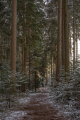 Obraz premium M.L.A. Stock