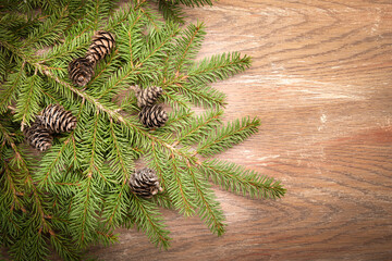 Tree branch with cones on a tinted wooden board