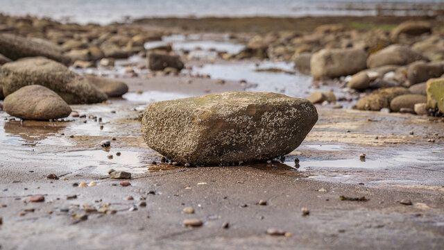 A large stone on the Public Slipway in the low tide on Parton Beach, Cumbria, England, UK