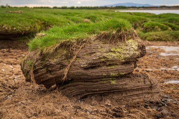 The Solway coast in Bowness-on-Solway, Cumbria, England, UK - with the Channel of River Esk in the background