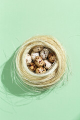 Easter Quail eggs in straw nest on light green. Spring Easter small spotted egg  with sun light.