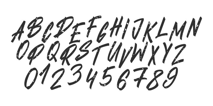 Hand drawn font typeface. Lettering brush alphabet. Vector uppercase letters and numbers