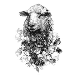 sheep head with thick fur on the chest decorated with tree branches with abundant large flowers, sketch vector graphics monochrome drawing in lines on a white background