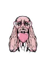 Spaniel dog. Romantic sketch in pink colors on white background