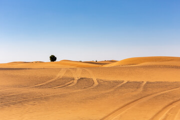 Fototapeta na wymiar United Arab Emirates desert landscape with Wild Ghaf trees and tire tracks on sand dunes.